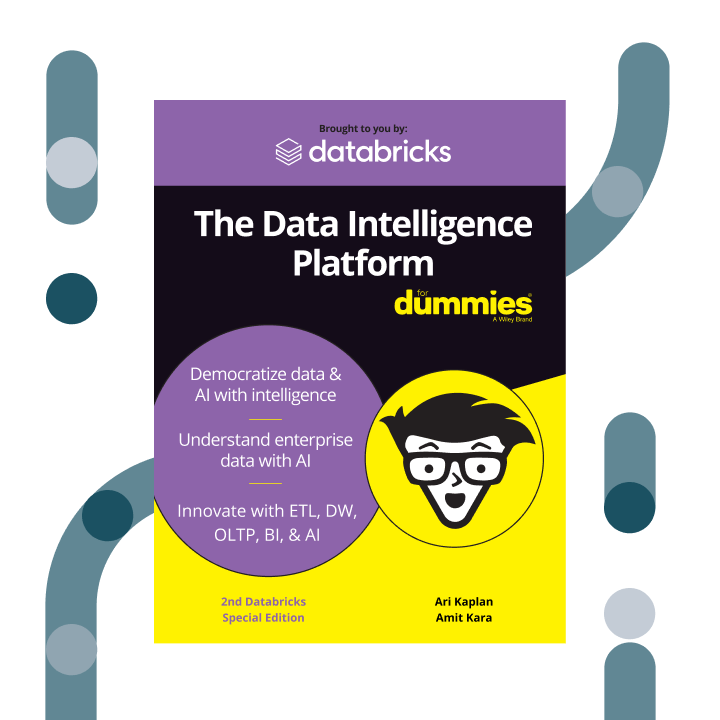 The Data Intelligence Platform For Dummies